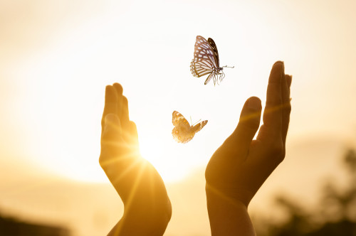 Coaching bei Lebensfragen oder schwierigen Entscheidungen: Foto: © sarayut sy / shutterstock / #1819721660